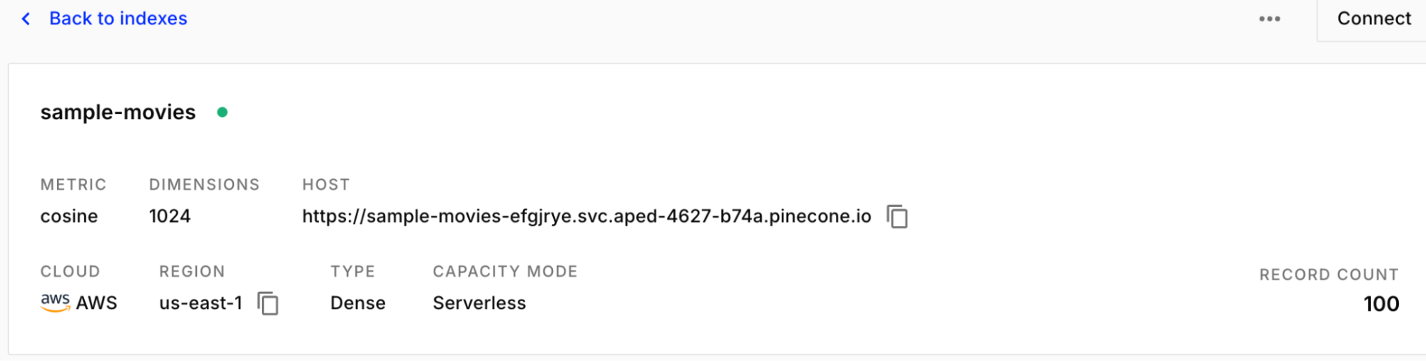Pinecone Dashboard showing index details